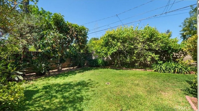 1511 Coolidge Ave, Pasadena, CA 91104 - view of yard