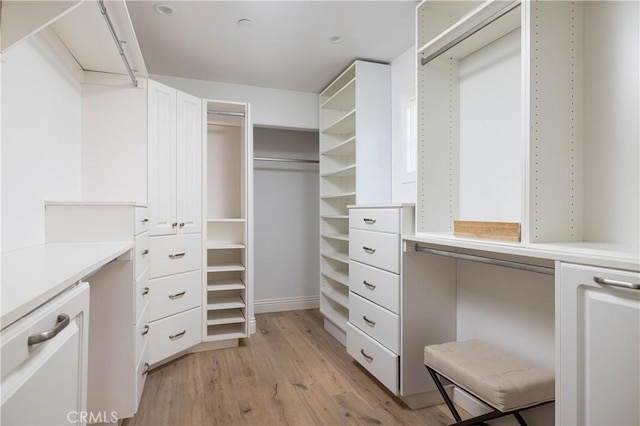 110 Via Orvieto, Newport Beach, CA 92663 - spacious closet with light wood-style floors