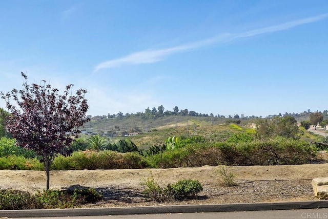 3552 Bartlett Ave, Oceanside, CA 92057 - view of yard