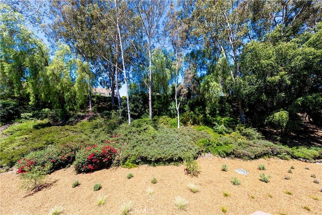 28107 Caldaro, Laguna Niguel, CA 92677 - view of nature