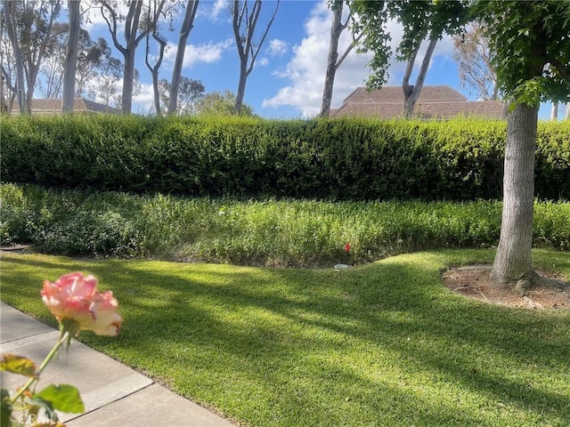 24603 Copper Cliff Ct Unit 11, Lake Forest, CA 92630 - photo 5