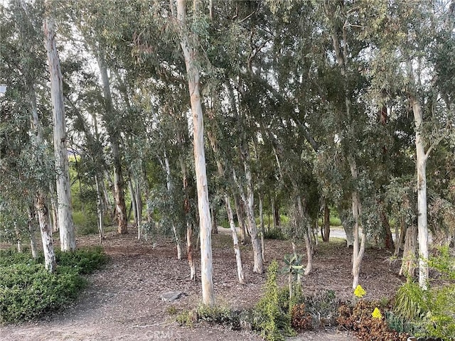 24603 Copper Cliff Ct Unit 11, Lake Forest, CA 92630 - photo 33