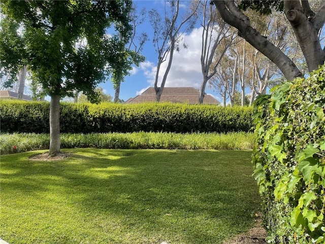 24603 Copper Cliff Ct Unit 11, Lake Forest, CA 92630 - photo 6
