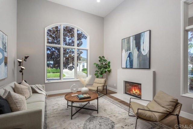 1808 Amalfi Dr, Encinitas, CA 92024 - living room with plenty of natural light, a glass covered fireplace, and wood finished floors
