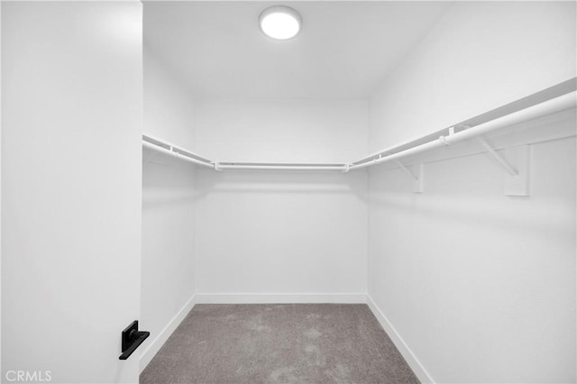 34582 Calle Rosita, Dana Point, CA 92624 - walk in closet featuring carpet flooring