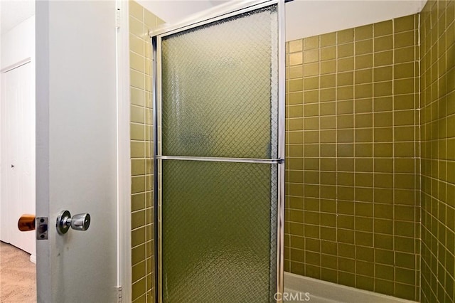 bathroom featuring a shower stall