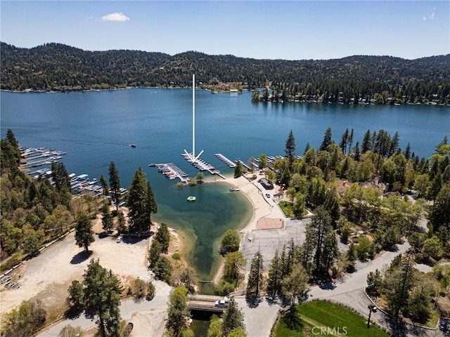 28537 N Shore Rd, Lake Arrowhead, CA 92352 - aerial view of a forest and a nearby body of water