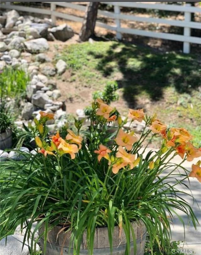 28537 N Shore Rd, Lake Arrowhead, CA 92352 - view of yard
