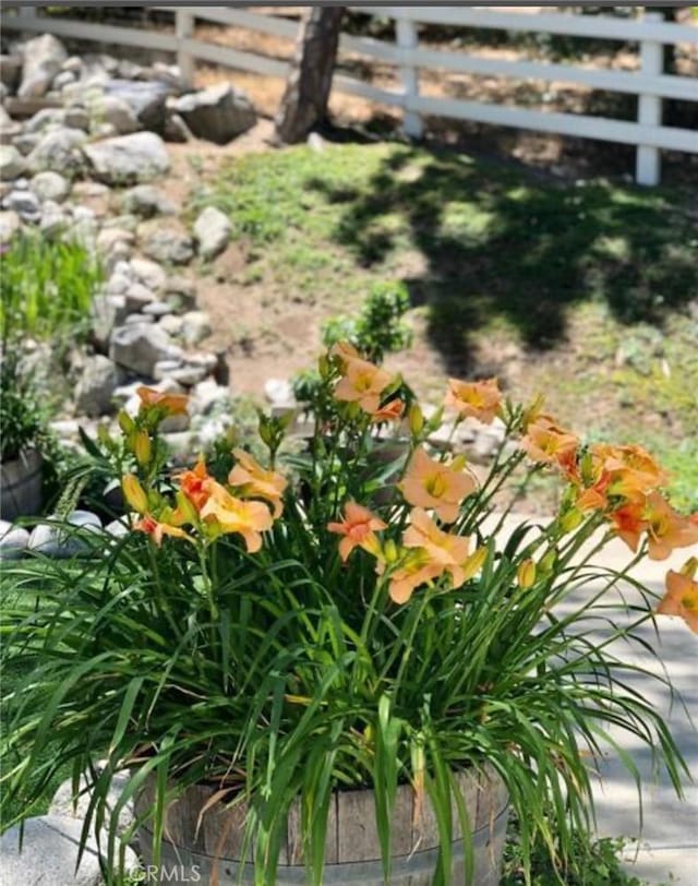 28537 N Shore Rd, Lake Arrowhead, CA 92352 - view of yard