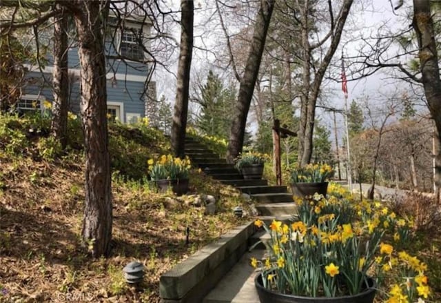 28537 N Shore Rd, Lake Arrowhead, CA 92352 - view of yard with stairs