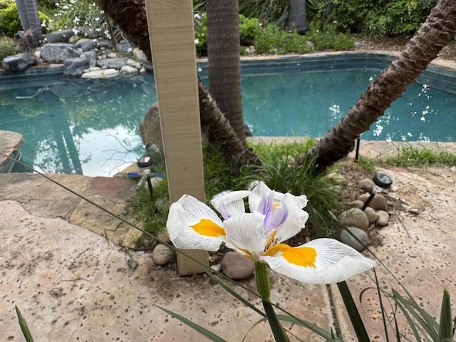 11610 Wills Creek Rd, San Diego, CA 92131 - view of swimming pool