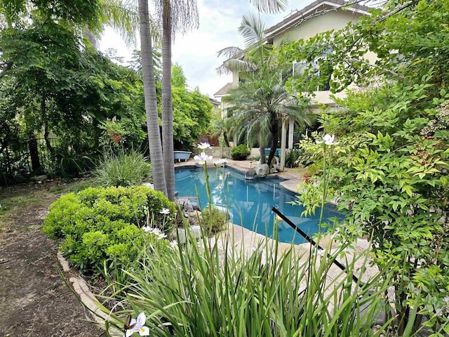 11610 Wills Creek Rd, San Diego, CA 92131 - view of swimming pool