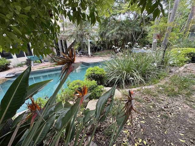 11610 Wills Creek Rd, San Diego, CA 92131 - view of outdoor pool