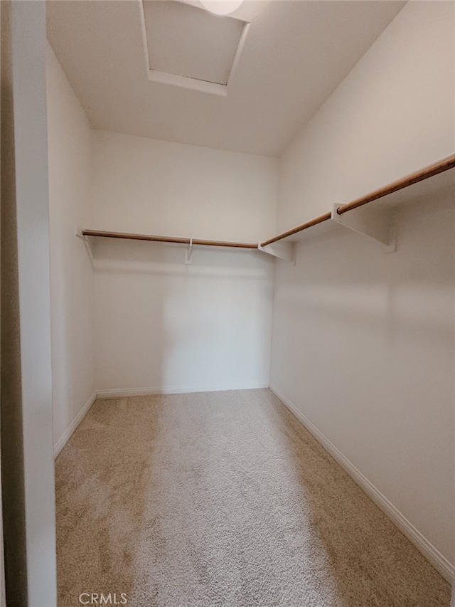 13529 Scarlet Sage Trl, San Diego, CA 92130 - walk in closet featuring carpet floors
