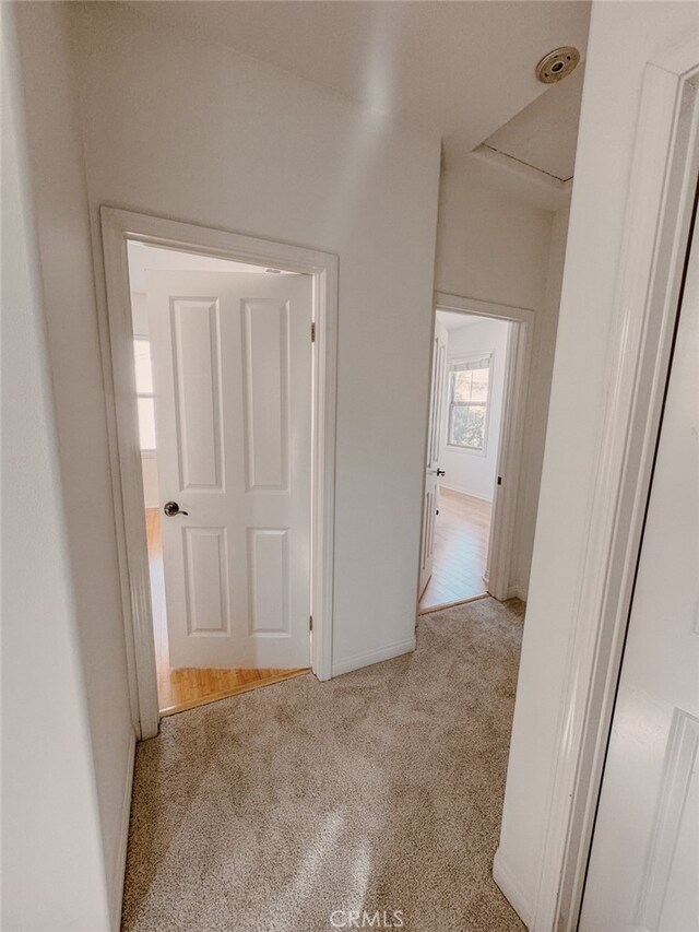 13529 Scarlet Sage Trl, San Diego, CA 92130 - hall featuring carpet floors and baseboards