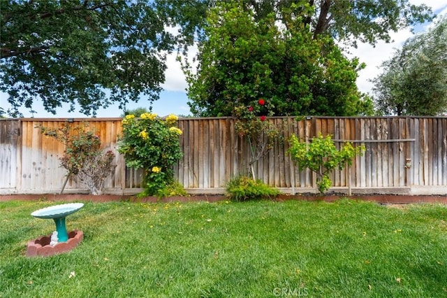 3008 La Vina Cir, Los Banos, CA 93635 - view of yard