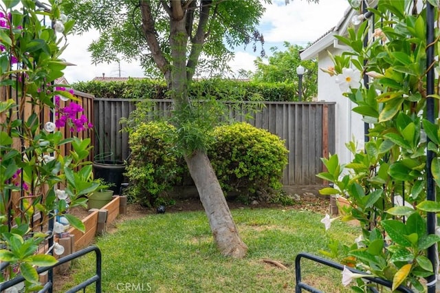 3008 La Vina Cir, Los Banos, CA 93635 - view of yard