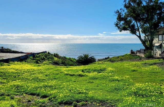 35295 Camino Capistrano, Dana Point, CA 92624