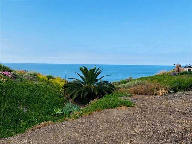 35295 Camino Capistrano, Dana Point, CA 92624