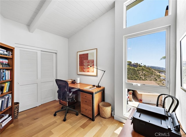 office space with light wood-style floors and plenty of natural light