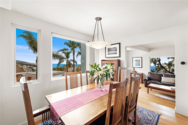 dining room featuring light wood-style flooring