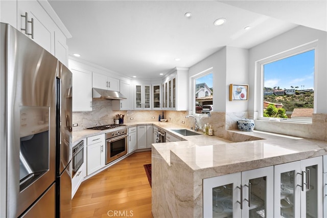 kitchen with appliances with stainless steel finishes, under cabinet range hood, light wood-style floors, a peninsula, and a sink