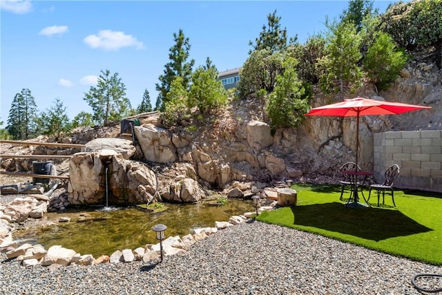 26061 Augusta Dr, Lake Arrowhead, CA 92391 - view of yard