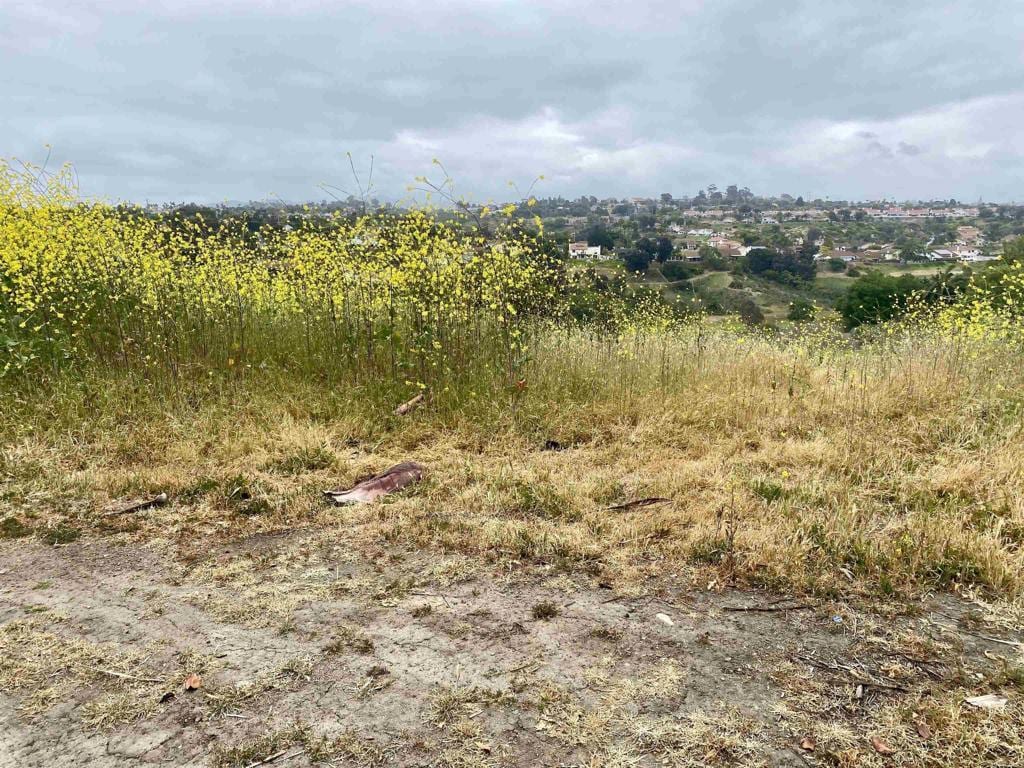 0 Oceanview Rd, Oceanside, CA 92056