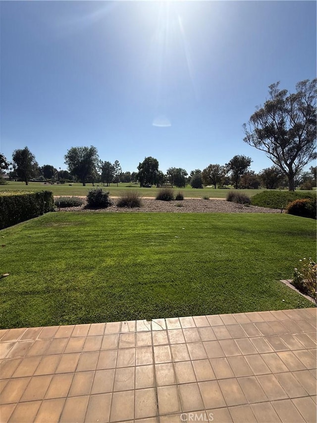 4333 N Country Club Ln, Long Beach, CA 90807 - view of green lawn