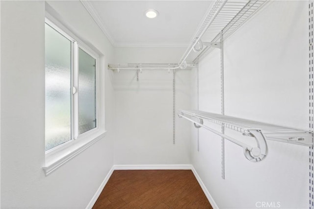 1879 N Nordic Pl, Orange, CA 92865 - spacious closet with dark wood-style floors
