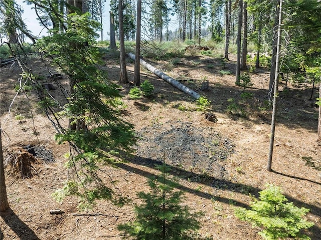 7604 Summit Rd, Fish Camp, CA 93623 - photo 55