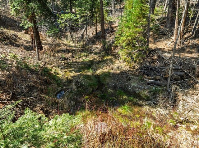 7604 Summit Rd, Fish Camp, CA 93623 - photo 58
