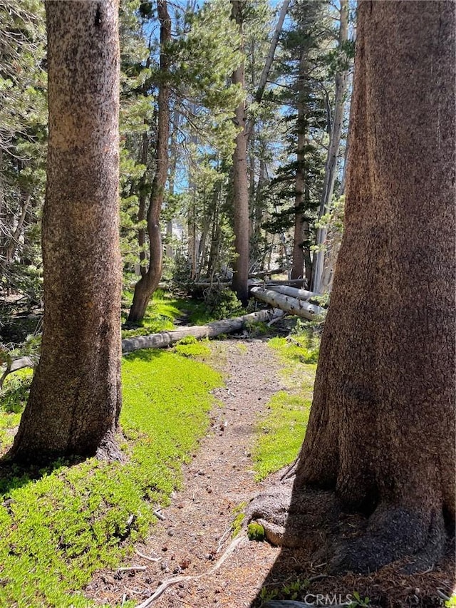 7604 Summit Rd, Fish Camp, CA 93623 - photo 71