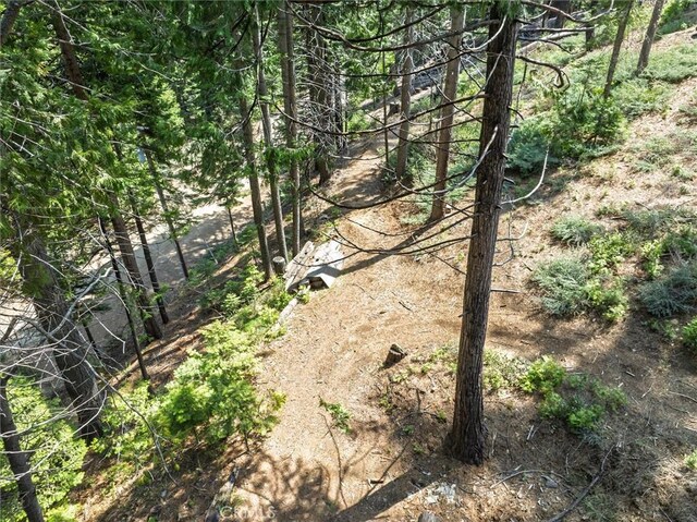 7604 Summit Rd, Fish Camp, CA 93623 - photo 54