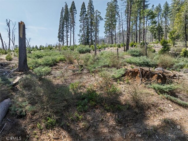 7604 Summit Rd, Fish Camp, CA 93623 - photo 56