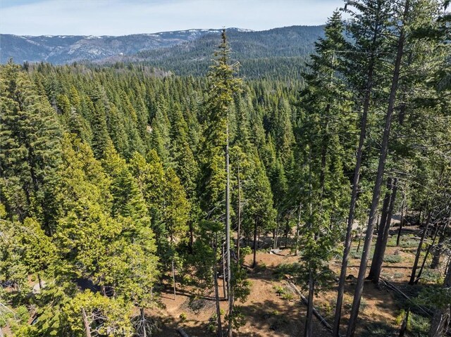 7604 Summit Rd, Fish Camp, CA 93623 - photo 57