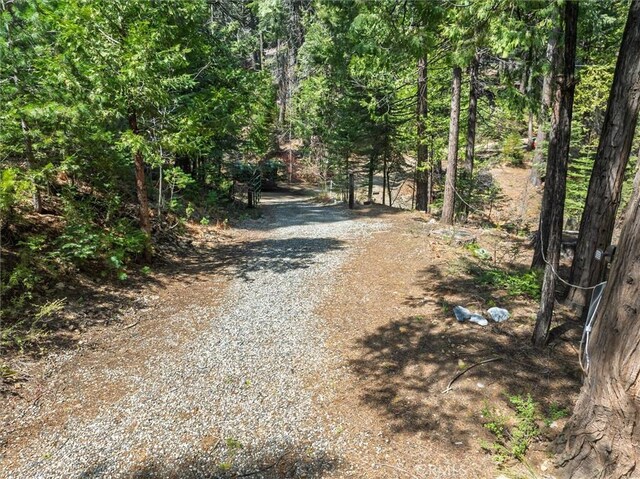 7604 Summit Rd, Fish Camp, CA 93623 - photo 52