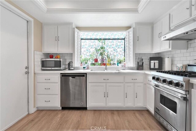 18060 Pebble Beach Dr, Victorville, CA 92395 - kitchen featuring appliances with stainless steel finishes, a sink, a tray ceiling, ventilation hood, and ornamental molding