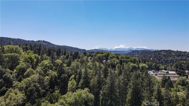 599 Acacia Dr, Crestline, CA 92325 - photo 27