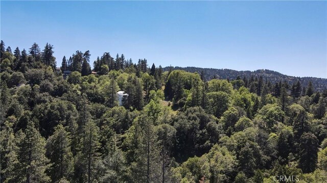 599 Acacia Dr, Crestline, CA 92325 - photo 28
