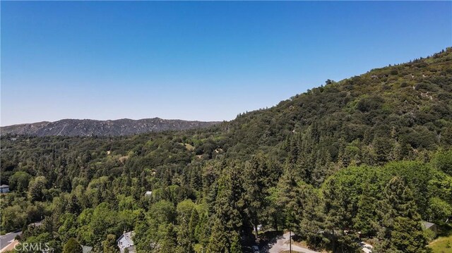 599 Acacia Dr, Crestline, CA 92325 - photo 26