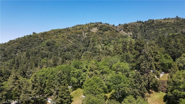 599 Acacia Dr, Crestline, CA 92325 - photo 25