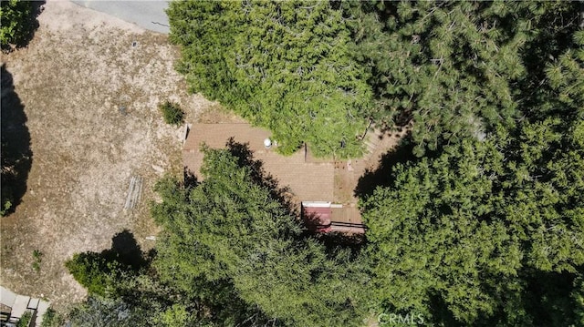 599 Acacia Dr, Crestline, CA 92325 - photo 24