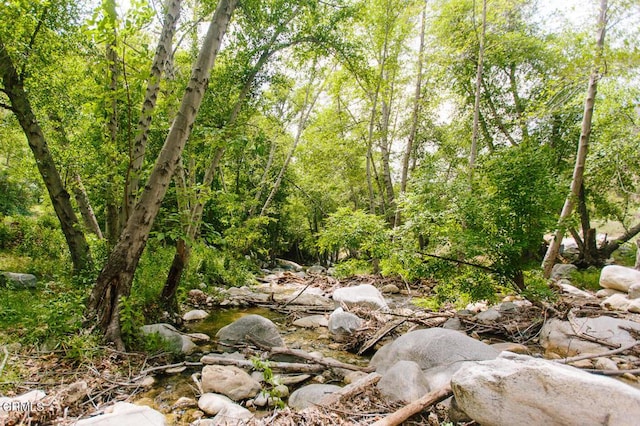11 N San Gabriel Canyon Rd, Azusa, CA 91702 - view of wooded area