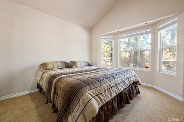 301 S Shakespeare Ln, Big Bear City, CA 92314 - photo 28