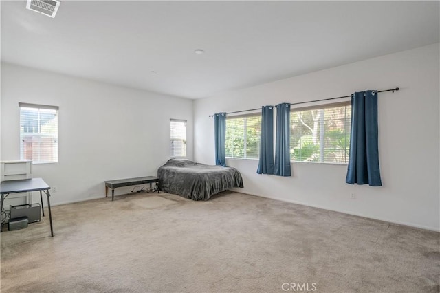 40991 Bankhall St, Lake Elsinore, CA 92532 - view of carpeted bedroom