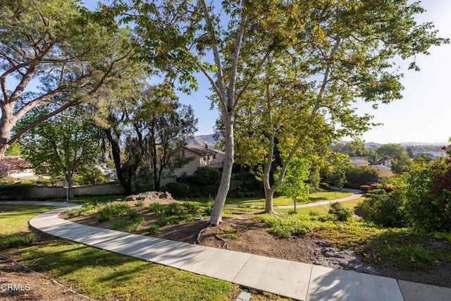 686 Martinique Pl, Newbury Park, CA 91320 - view of home's community featuring a yard