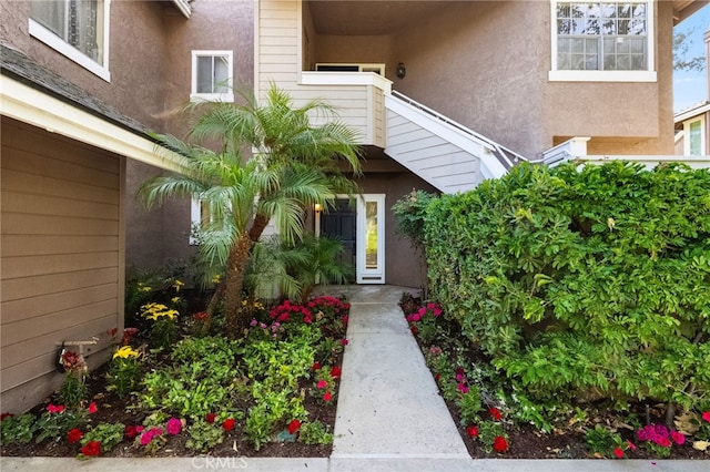 doorway to property featuring stucco siding