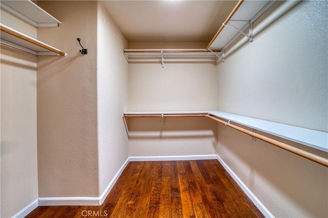 635 Shelter Ridge Pl, Nipomo, CA 93444 - walk in closet with dark wood-style flooring