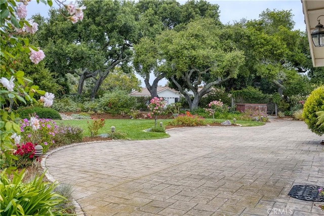635 Shelter Ridge Pl, Nipomo, CA 93444 - view of patio